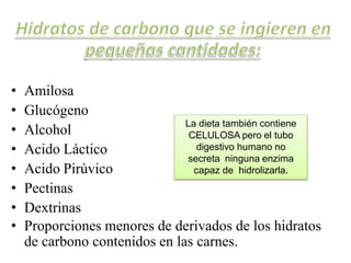 • Amilosa
• Glucógeno
• Alcohol
• Acido Láctico
• Acido Pirúvico
• Pectinas
• Dextrinas
• Proporciones menores de derivados de los hidratos
de carbono contenidos en las carnes.
La dieta también contiene
CELULOSA pero el tubo
digestivo humano no
secreta ninguna enzima
capaz de hidrolizarla.
 