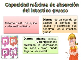 Absorbe 5 a 8 L de liquido
y electrolitos diarios.
Diarrea: se da cuando se
excede la cantidad de
liquido y electrolitos que
penetran en el intestino
grueso.
Diarrea intensa:
(Cólera)
toxinas
bacteriana
s
estimulan la secreciones
en íleon y colon, puede
llegar a ser mortal.
 