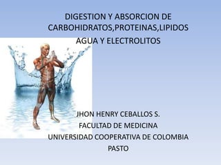 DIGESTION Y ABSORCION DE CARBOHIDRATOS,PROTEINAS,LIPIDOS AGUA Y ELECTROLITOS JHON HENRY CEBALLOS S. FACULTAD DE MEDICINA UNIVERSIDAD COOPERATIVA DE COLOMBIA PASTO 