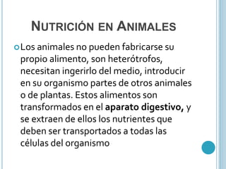 NUTRICIÓN EN ANIMALES 
Los animales no pueden fabricarse su 
propio alimento, son heterótrofos, 
necesitan ingerirlo del medio, introducir 
en su organismo partes de otros animales 
o de plantas. Estos alimentos son 
transformados en el aparato digestivo, y 
se extraen de ellos los nutrientes que 
deben ser transportados a todas las 
células del organismo 
 