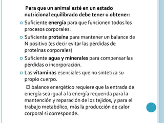 Para que un animal esté en un estado 
nutricional equilibrado debe tener u obtener: 
 Suficiente energía para que funcionen todos los 
procesos corporales. 
 Suficiente proteína para mantener un balance de 
N positivo (es decir evitar las pérdidas de 
proteínas corporales) 
 Suficiente agua y minerales para compensar las 
pérdidas o incorporación. 
 Las vitaminas esenciales que no sintetiza su 
propio cuerpo. 
El balance energético requiere que la entrada de 
energía sea igual a la energía requerida para la 
mantención y reparación de los tejidos, y para el 
trabajo metabólico, más la producción de calor 
corporal si corresponde. 
 