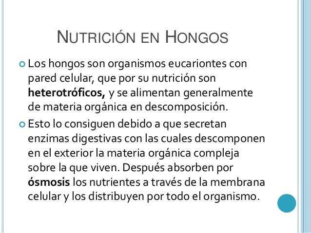 Se ha desprendido la uña por el hongo