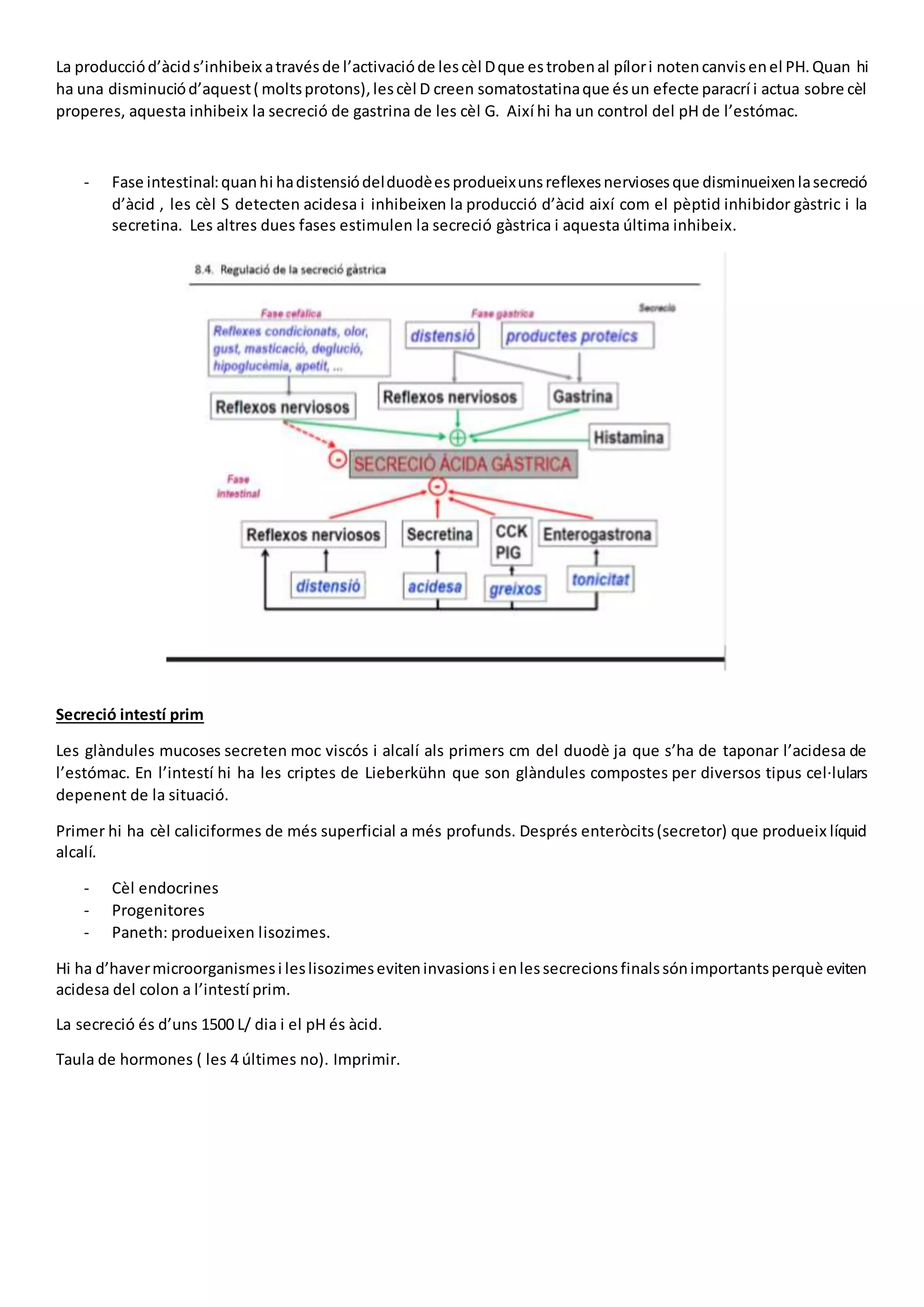 La producciód’àcids’inhibeix atravésde l’activacióde lescèl Dque estrobenal pílori notencanvisenel PH.Quan hi
ha una disminuciód’aquest( moltsprotons),lescèl D creen somatostatinaque ésun efecte paracrí i actua sobre cèl
properes, aquesta inhibeix la secreció de gastrina de les cèl G. Així hi ha un control del pH de l’estómac.
- Fase intestinal:quanhi hadistensiódelduodèesprodueixunsreflexesnerviosesque disminueixenlasecreció
d’àcid , les cèl S detecten acidesa i inhibeixen la producció d’àcid així com el pèptid inhibidor gàstric i la
secretina. Les altres dues fases estimulen la secreció gàstrica i aquesta última inhibeix.
Secreció intestí prim
Les glàndules mucoses secreten moc viscós i alcalí als primers cm del duodè ja que s’ha de taponar l’acidesa de
l’estómac. En l’intestí hi ha les criptes de Lieberkühn que son glàndules compostes per diversos tipus cel·lulars
depenent de la situació.
Primer hi ha cèl caliciformes de més superficial a més profunds. Després enteròcits(secretor) que produeix líquid
alcalí.
- Cèl endocrines
- Progenitores
- Paneth: produeixen lisozimes.
Hi ha d’havermicroorganismesi leslisozimeseviteninvasionsi enlessecrecionsfinalssónimportantsperquè eviten
acidesa del colon a l’intestí prim.
La secreció és d’uns 1500 L/ dia i el pH és àcid.
Taula de hormones ( les 4 últimes no). Imprimir.
 
