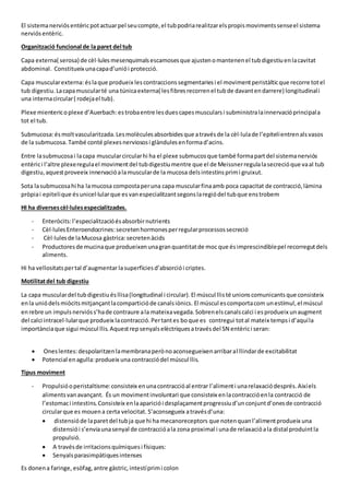 El sistemanerviósentèricpotactuarpel seucompte,el tubpodriarealitzarelspropismovimentssenseel sistema
nerviósentèric.
Organització funcional de la paret del tub
Capa externa( serosa) de cèl·lulesmesenquimalsescamosesque ajustenomantenenel tubdigestiuenlacavitat
abdominal. Constitueix unacapad’uniói protecció.
Capa muscularexterna: éslaque produeix lescontraccionssegmentariesi el movimentperistàlticque recorre totel
tub digestiu.Lacapamuscularté una túnicaexterna( lesfibresrecorrenel tubde davantendarrere) longitudinali
una internacircular( rodejael tub).
Plexe mientericoplexe d’Auerbach:estrobaentre lesduescapesmuscularsi subministralainnervacióprincipala
tot el tub.
Submucosa:ésmoltvascularitzada.Lesmolèculesabsorbidesque atravésde la cèl·lulade l’epitelientrenalsvasos
de la submucosa. També conté plexesnerviososi glàndulesenformad’acins.
Entre lasubmucosai lacapa muscularcircularhi ha el plexe submucosque també formapartdel sistemanerviós
entèrici l’altre plexeregulael movimentdel tubdigestiumentre que el de Meissnerregulalasecrecióque vaal tub
digestiu,aquestproveeix innervacióalamuscularde la mucosa delsintestinsprimi gruixut.
Sota lasubmucosahi ha lamucosa compostaperuna capa muscularfinaamb poca capacitat de contracció,làmina
pròpiai epitelique ésunicel·lularque esvanespecialitzantsegonslaregiódel tubque enstrobem
HI ha diversescèl·lulesespecialitzades.
- Enteròcits:l’especialitzacióésabsorbirnutrients
- Cèl·lules Enteroendocrines:secretenhormonesperregularprocessossecreció
- Cèl·lulesde laMucosa gàstrica:secretenàcids
- Productoresde mucinaque produeixenunagranquantitatde moc que ésimprescindiblepel recorregutdels
aliments.
Hi ha vellositatspertal d’augmentar lasuperfíciesd’absorciói criptes.
Motilitatdel tub digestiu
La capa musculardel tubdigestiuésllisa(longitudinal i circular).El múscul llisté unionscomunicantsque consisteix
enla uniódelsmiòcitsmitjançantlacomparticióde canalsiònics. El múscul escomportacom unestímul,el múscul
enrebre un impulsnervióss’hade contraure ala mateixavegada.Sobrenelscanalscalci i esprodueix unaugment
del calci intracel·lularque produeix lacontracció.Pertantes boque es contregui total mateix tempsi d’aquíla
importànciaque sigui múscul llis.Aquestrepsenyalselèctriquesatravésdel SN entèrici seran:
 Oneslentes:despolaritzenlamembranaperònoaconsegueixenarribaral llindarde excitabilitat
 Potencial enagulla:produeix una contracciódel múscul llis.
Tipus moviment
- Propulsióoperistaltisme:consisteix enunacontraccióal entrar l’alimenti unarelaxaciódesprés.Aixíels
alimentsvanavançant. És un movimentinvoluntari que consisteix enlacontraccióenla contracció de
l’estomaci intestins.Consisteix enlaapariciói desplaçamentprogressiud’unconjuntd’onesde contracció
circularque es mouena certa velocitat. S’aconsegueix atravésd’una:
 distensióde laparetdel tubja que hi ha mecanoreceptors que notenquanl’alimentprodueix una
distensiói s’enviaunasenyal de contraccióala zona proximal i unade relaxacióala distal produintla
propulsió.
 A travésde irritacionsquímiquesi físiques:
 Senyalsparasimpàtiquesintenses
Es donena faringe, esòfag,antre gàstric,intestíprimi colon
 