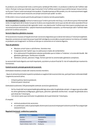Es produeix una contracció del recte a continuació, també pel SN entèric i es produeix la obertura de l’esfínter anal
intern.Peròper evitarque el procés sigui involuntari hi hal’esfínteranal externque estàformat per múscul estriat,
no lliscom l’interni estàinnervatpel nervi pudent. El pudentpertanyal SN somàtic,ésa dirinconscientmentregula
el esfínter anal extern però necessita una senyal conscient per poder-se obrir.
El SN entèric inicia el procés però ha de participar el sistema nerviós parasimpàtic.
SN PARASIMPÀTIC FUNCIÓ: realitzalamateixaque l’entèricperòamb mésforça, la cèl aferent porta informaciódel
recte a la regiósacra de la medul·laespinal.Esdona una respostadelsnervisque vandesdel colon ascendentfinsal
recte i es produeix lacontracció del sigmoide i recte i una oberturade l’esfínteranal internque es produeix peruna
neurotransmissorambòxidnítric i pèptidintestinalvasodilatadorovasoactiu.Lainformacióperobrir l’esfínterintern
prové de la corteza conscient.
Secreció digestiva: glàndules mucoses
Hi hasecrecionsmucosesal llargde totel tubi secrecionsdigestivesque esdonende labocaa l’intestíprincipalment.
Aquestessecrecionssonexocrinesjaque lapartdel tubdigestiuesconsideraunapartexternai nointerna,enl’embrió
es produeix una invaginació i es forma un tub que es converteix en el sistema digestiu.
Tipus de glàndules
 Mucoses unicel·lulars o caliciformes. Secreten moc
 Invaginacions de l’epiteli cap a la submucosa ( criptes de Lierberkühn)
 A la submucosa hi ha glàndulestubulars profundes que es troben a l’estomac i a la zona del duodè. Són
glàndules gàstriques i de Brunner al duodè.
 Glàndules salivals, pàncrees i fetge, formen part de les anomenades glàndules complexes.
La secreciódel tracte digestiusonmoltimportants,secretemunvolumfinal de 7L i tot ell reabsorbitpermantenirla
homeòstasi.
Control secreció: principis generals de la secreció.
Estimulació mecànica a través del sistema nerviós mientèric
. Quanelsalimentsestimulenlaparetesprodueixunaugmentdelasecrecióde moc,peròpothaverestimulaciótàctil
i augmenta secreció saliva.
- Irritació química: barrera protecció.
- Distensió paret intestinal.
Estimulació autònoma ( SN parasimpàtic estimula secrecions glandulars)
- Ho faa travésdel nervi parasimpàticglossofaringi actuasobre lesglàndulessalivalsi el vague que actuasobre
les altres glàndules( esofàguiques,gàstriques, pàncrees i glàndules de Brunner) excepte les glàndules de la
part distal de l’intestí gros.
- I els nervis sacres que estimulen les glàndules de la part distal de l’intestí gros.
El simpàtic
 estimula producció de secrecions
 en combinació amb el parasimpàticdisminueix lasecreciómitjançantladisminuciódel flux sanguiniper
vasoconstricció.
Regulació hormonal : endocrina o paracrina.
 