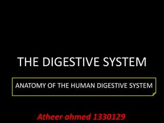 THE DIGESTIVE SYSTEM
ANATOMY OF THE HUMAN DIGESTIVE SYSTEM
Atheer ahmed 1330129
 