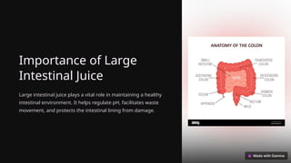 Importance of Large
Intestinal Juice
Large intestinal juice plays a vital role in maintaining a healthy
intestinal environment. It helps regulate pH, facilitates waste
movement, and protects the intestinal lining from damage.
 