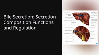 Bile Secretion: Secretion
Composition Functions
and Regulation
 