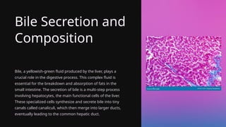 Bile Secretion and
Composition
Bile, a yellowish-green fluid produced by the liver, plays a
crucial role in the digestive process. This complex fluid is
essential for the breakdown and absorption of fats in the
small intestine. The secretion of bile is a multi-step process
involving hepatocytes, the main functional cells of the liver.
These specialized cells synthesize and secrete bile into tiny
canals called canaliculi, which then merge into larger ducts,
eventually leading to the common hepatic duct.
 