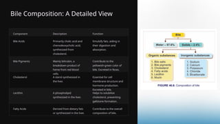 Bile Composition: A Detailed View
Component Description Function
Bile Acids Primarily cholic acid and
chenodeoxycholic acid,
synthesized from
cholesterol.
Emulsify fats, aiding in
their digestion and
absorption.
Bile Pigments Mainly bilirubin, a
breakdown product of
heme from red blood
cells.
Contribute to the
yellowish-green color of
bile. Excreted in feces.
Cholesterol A sterol synthesized in
the liver.
Essential for cell
membrane structure and
hormone production.
Excreted in bile.
Lecithin A phospholipid
synthesized in the liver.
Helps to solubilize
cholesterol, preventing
gallstone formation.
Fatty Acids Derived from dietary fats
or synthesized in the liver.
Contribute to the overall
composition of bile.
 