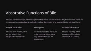 Absorptive Functions of Bile
Bile salts play a crucial role in the absorption of fats and fat-soluble vitamins. They form micelles, which are
tiny spheres that encapsulate fat molecules, making them easier to be absorbed by the intestinal lining.
Micelle Formation
Bile salts form micelles, which
are tiny spheres that
encapsulate fat molecules.
Absorption
Micelles transport fat molecules
to the intestinal lining, where
they are absorbed into the
bloodstream.
Vitamin Absorption
Bile salts also help in the
absorption of fat-soluble
vitamins (A, D, E, and K).
 