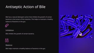 Antiseptic Action of Bile
Bile has a natural detergent action that inhibits the growth of certain
bacteria in the lumen of the intestine. This helps to maintain a healthy
balance of bacteria in the gut.
Inhibition
Bile inhibits the growth of certain bacteria.
Balance
Bile helps maintain a healthy balance of bacteria in the gut.
 