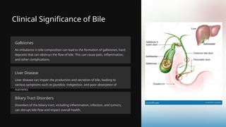 Clinical Significance of Bile
Gallstones
An imbalance in bile composition can lead to the formation of gallstones, hard
deposits that can obstruct the flow of bile. This can cause pain, inflammation,
and other complications.
Liver Disease
Liver disease can impair the production and secretion of bile, leading to
various symptoms such as jaundice, indigestion, and poor absorption of
nutrients.
Biliary Tract Disorders
Disorders of the biliary tract, including inflammation, infection, and tumors,
can disrupt bile flow and impact overall health.
 