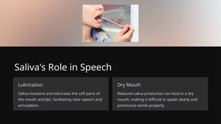 Saliva's Role in Speech
Lubrication
Saliva moistens and lubricates the soft parts of
the mouth and lips, facilitating clear speech and
articulation.
Dry Mouth
Reduced saliva production can lead to a dry
mouth, making it difficult to speak clearly and
pronounce words properly.
 