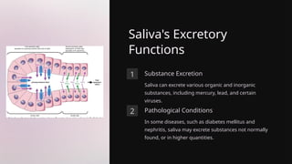 Saliva's Excretory
Functions
1 Substance Excretion
Saliva can excrete various organic and inorganic
substances, including mercury, lead, and certain
viruses.
2 Pathological Conditions
In some diseases, such as diabetes mellitus and
nephritis, saliva may excrete substances not normally
found, or in higher quantities.
 