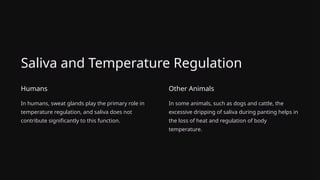 Saliva and Temperature Regulation
Humans
In humans, sweat glands play the primary role in
temperature regulation, and saliva does not
contribute significantly to this function.
Other Animals
In some animals, such as dogs and cattle, the
excessive dripping of saliva during panting helps in
the loss of heat and regulation of body
temperature.
 
