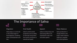 The Importance of Saliva
Digestion
Saliva plays a crucial role
in the initial stages of
food digestion, breaking
down carbohydrates and
fats.
Oral Health
Saliva's antimicrobial
properties and its ability
to lubricate and protect
the mouth contribute to
overall oral health.
Speech
Saliva's moisturizing and
lubricating effects are
essential for clear and
articulate speech.
Water Balance
Saliva production is
closely linked to the
body's water balance,
helping to regulate
thirst and hydration.
 