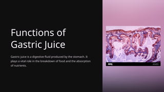 Functions of
Gastric Juice
Gastric juice is a digestive fluid produced by the stomach. It
plays a vital role in the breakdown of food and the absorption
of nutrients.
 