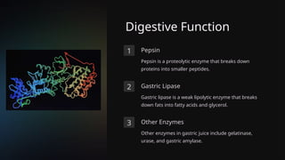 Digestive Function
1 Pepsin
Pepsin is a proteolytic enzyme that breaks down
proteins into smaller peptides.
2 Gastric Lipase
Gastric lipase is a weak lipolytic enzyme that breaks
down fats into fatty acids and glycerol.
3 Other Enzymes
Other enzymes in gastric juice include gelatinase,
urase, and gastric amylase.
 
