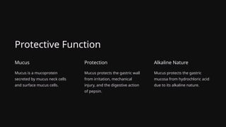 Protective Function
Mucus
Mucus is a mucoprotein
secreted by mucus neck cells
and surface mucus cells.
Protection
Mucus protects the gastric wall
from irritation, mechanical
injury, and the digestive action
of pepsin.
Alkaline Nature
Mucus protects the gastric
mucosa from hydrochloric acid
due to its alkaline nature.
 