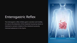 Enterogastric Reflex
The enterogastric reflex inhibits gastric secretion and motility.
It is due to the distention of the intestinal mucosa by chyme or
chemical or osmotic irritation of the intestinal mucosa by
chemical substances in the chyme.
 