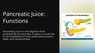 Pancreatic Juice:
Functions
Pancreatic juice is a vital digestive fluid
produced by the pancreas. It plays a crucial role
in the breakdown of food, particularly proteins,
lipids, and carbohydrates.
 