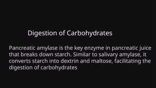 Digestion of Carbohydrates
Pancreatic amylase is the key enzyme in pancreatic juice
that breaks down starch. Similar to salivary amylase, it
converts starch into dextrin and maltose, facilitating the
digestion of carbohydrates
 