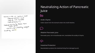 Neutralizing Action of Pancreatic
Juice
Acidic Chyme
Acidic chyme from the stomach enters the small intestine.
Alkaline Pancreatic Juice
Pancreatic juice, rich in bicarbonate ions, neutralizes the acidity of chyme.
Intestinal Protection
Neutralization protects the intestinal lining from damage by acid.
 