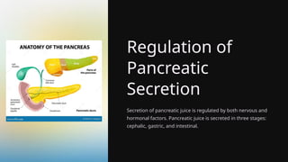 Regulation of
Pancreatic
Secretion
Secretion of pancreatic juice is regulated by both nervous and
hormonal factors. Pancreatic juice is secreted in three stages:
cephalic, gastric, and intestinal.
 