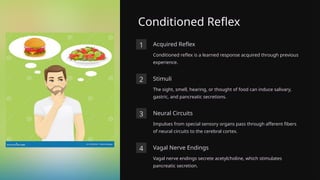 Conditioned Reflex
1 Acquired Reflex
Conditioned reflex is a learned response acquired through previous
experience.
2 Stimuli
The sight, smell, hearing, or thought of food can induce salivary,
gastric, and pancreatic secretions.
3 Neural Circuits
Impulses from special sensory organs pass through afferent fibers
of neural circuits to the cerebral cortex.
4 Vagal Nerve Endings
Vagal nerve endings secrete acetylcholine, which stimulates
pancreatic secretion.
 
