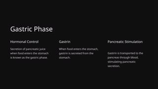 Gastric Phase
Hormonal Control
Secretion of pancreatic juice
when food enters the stomach
is known as the gastric phase.
Gastrin
When food enters the stomach,
gastrin is secreted from the
stomach.
Pancreatic Stimulation
Gastrin is transported to the
pancreas through blood,
stimulating pancreatic
secretion.
 