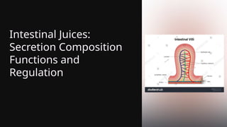 Intestinal Juices:
Secretion Composition
Functions and
Regulation
 