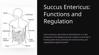 Succus Entericus:
Functions and
Regulation
Succus entericus, also known as intestinal juice, is a vital
component of the digestive process. It plays a crucial role in
breaking down food, protecting the intestinal lining, and
regulating the digestive system.
 
