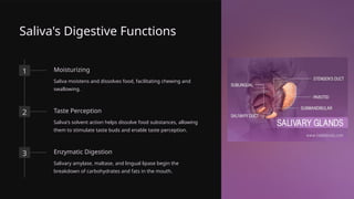 Saliva's Digestive Functions
1 Moisturizing
Saliva moistens and dissolves food, facilitating chewing and
swallowing.
2 Taste Perception
Saliva's solvent action helps dissolve food substances, allowing
them to stimulate taste buds and enable taste perception.
3 Enzymatic Digestion
Salivary amylase, maltase, and lingual lipase begin the
breakdown of carbohydrates and fats in the mouth.
 