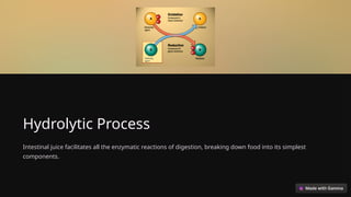 Hydrolytic Process
Intestinal juice facilitates all the enzymatic reactions of digestion, breaking down food into its simplest
components.
 