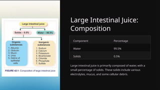 Large Intestinal Juice:
Composition
Component Percentage
Water 99.5%
Solids 0.5%
Large intestinal juice is primarily composed of water, with a
small percentage of solids. These solids include various
electrolytes, mucus, and some cellular debris.
 