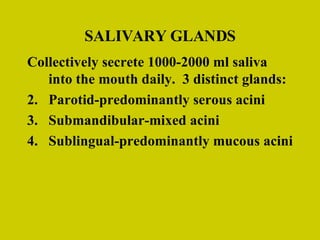 SALIVARY GLANDS Collectively secrete 1000-2000 ml saliva into the mouth daily.  3 distinct glands: Parotid-predominantly serous acini Submandibular-mixed acini Sublingual-predominantly mucous acini 