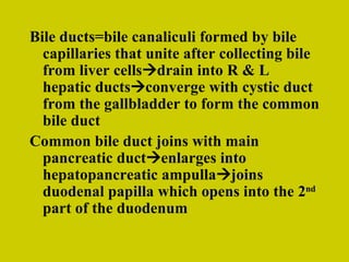 Bile ducts=bile canaliculi formed by bile capillaries that unite after collecting bile from liver cells  drain into R & L hepatic ducts  converge with cystic duct from the gallbladder to form the common bile duct Common bile duct joins with main pancreatic duct  enlarges into hepatopancreatic ampulla  joins duodenal papilla which opens into the 2 nd  part of the duodenum 