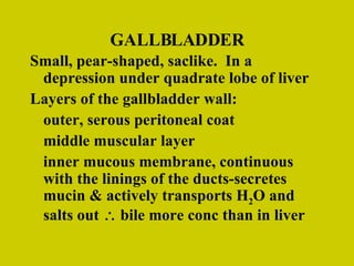 GALLBLADDER Small, pear-shaped, saclike.  In a depression under quadrate lobe of liver Layers of the gallbladder wall: outer, serous peritoneal coat middle muscular layer inner mucous membrane, continuous with the linings of the ducts-secretes mucin & actively transports H 2 O and salts out    bile more conc than in liver 