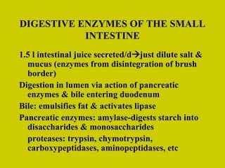 DIGESTIVE ENZYMES OF THE SMALL INTESTINE 1.5 l intestinal juice secreted/d  just dilute salt & mucus (enzymes from disintegration of brush border) Digestion in lumen via action of pancreatic enzymes & bile entering duodenum Bile: emulsifies fat & activates lipase Pancreatic enzymes: amylase-digests starch into disaccharides & monosaccharides proteases: trypsin, chymotrypsin, carboxypeptidases, aminopeptidases, etc 