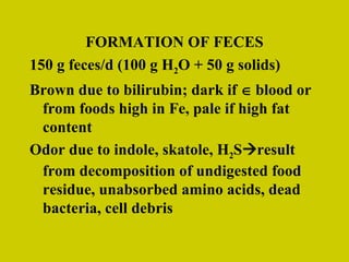 FORMATION OF FECES 150 g feces/d (100 g H 2 O + 50 g solids) Brown due to bilirubin; dark if    blood or from foods high in Fe, pale if high fat content Odor due to indole, skatole, H 2 S  result from decomposition of undigested food residue, unabsorbed amino acids, dead bacteria, cell debris 