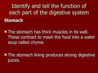Digestive System | PPT