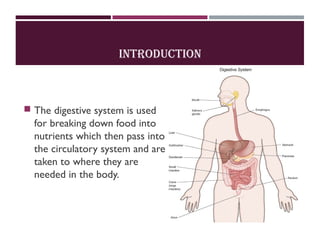 INTRODUCTION
 The digestive system is used
for breaking down food into
nutrients which then pass into
the circulatory system and are
taken to where they are
needed in the body.
 