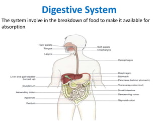 Digestive System
The system involve in the breakdown of food to make it available for
absorption
 