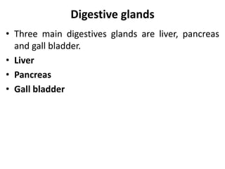 Digestive glands
• Three main digestives glands are liver, pancreas
and gall bladder.
• Liver
• Pancreas
• Gall bladder
 