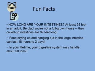 Fun Facts
• HOW LONG ARE YOUR INTESTINES? At least 25 feet
in an adult. Be glad you're not a full-grown horse -- their
coiled-up intestines are 89 feet long!
• Food drying up and hanging out in the large intestine
can last 18 hours to 2 days!
• In your lifetime, your digestive system may handle
about 50 tons!!
 