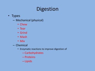 Digestion
• Types
– Mechanical (physical)
• Chew
• Tear
• Grind
• Mash
• Mix
– Chemical
• Enzymatic reactions to improve digestion of
– Carbohydrates
– Proteins
– Lipids
 