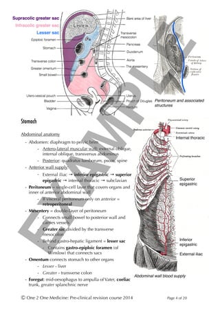 Stomach
!
Abdominal anatomy
- Abdomen: diaphragm to pelvic brim
- Antero-lateral muscular wall: external oblique,
internal oblique, transversus abdominus
- Posterior: quadratus lumborum, psoas, spine
- Anterior wall supply:
- External iliac → inferior epigastric → superior
epigastric → internal thoracic → subclavian
- Peritoneum = single-cell layer that covers organs and
inner of anterior abdominal wall
- If visceral peritoneum only on anterior =
retroperitoneal
- Mesentery = double-layer of peritoneum
- Connects small bowel to posterior wall and
carries vessels
- Greater sac divided by the transverse
mesocolon
- Behind gastro-hepatic ligament = lesser sac
- Contains gastro-epiploic foramen (of
Winslow) that connects sacs
- Omentum connects stomach to other organs
- Lesser - liver
- Greater - transverse colon
- Foregut: mid-oesophagus to ampulla of Vater, coeliac
trunk, greater splanchnic nerve
Ⓒ One 2 One Medicine: Pre-clinical revision course 2014 Page ! of !4 20
Peritoneum and associated
structures
Abdominal wall blood supply
External iliac
Inferior
epigastric
Superior
epigastric
Internal thoracic
EXAMPLE
 