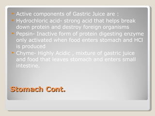Stomach Cont. Active components of Gastric Juice are : Hydrochloric acid- strong acid that helps break down protein and destroy foreign organisms  Pepsin- Inactive form of protein digesting enzyme only activated when food enters stomach and HCl is produced Chyme- Highly Acidic , mixture of gastric juice and food that leaves stomach and enters small intestine.  