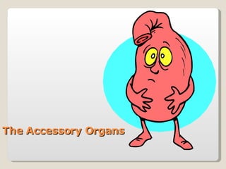 The Accessory Organs  